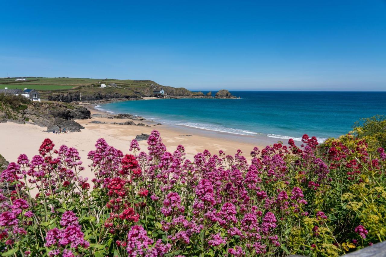 Bed and Breakfast Tor View Padstow Exterior foto